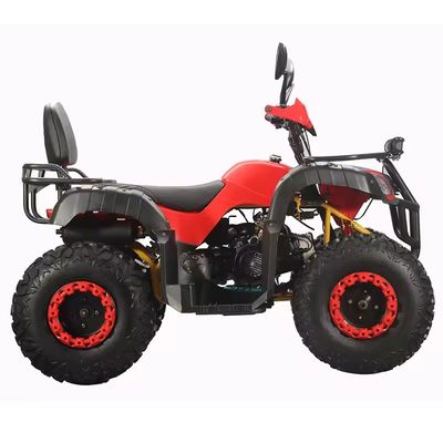 Adult Quad Bike 250cc 4x4 with Electric Start and Automatic Transmission ATV