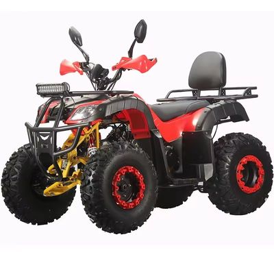 Adult Quad Bike 250cc 4x4 with Electric Start and Automatic Transmission ATV