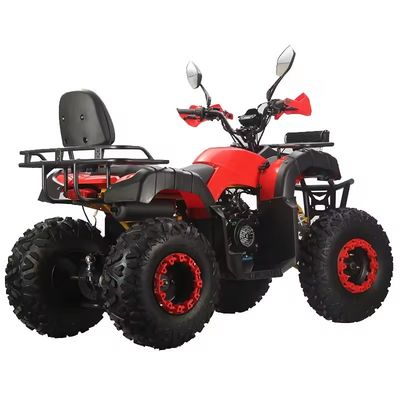 Adult Quad Bike 250cc 4x4 with Electric Start and Automatic Transmission ATV