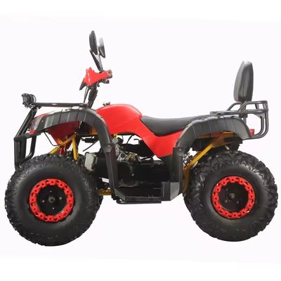 Adult Quad Bike 250cc 4x4 with Electric Start and Automatic Transmission ATV