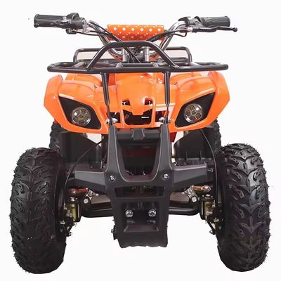 600-1000mm Wheelbase 36V 800W Mini Electric ATV with CE and CHAIN DRIVE Transmission