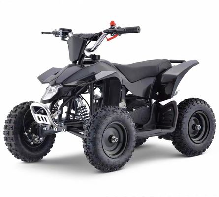 Affordable 49CC ATV Made in with Chain Transmission and No Differential Lock