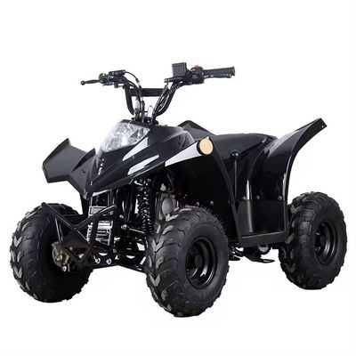 Compact Chain Transmission ATV 125cc 110CC 70CC with Low Fuel Consumption