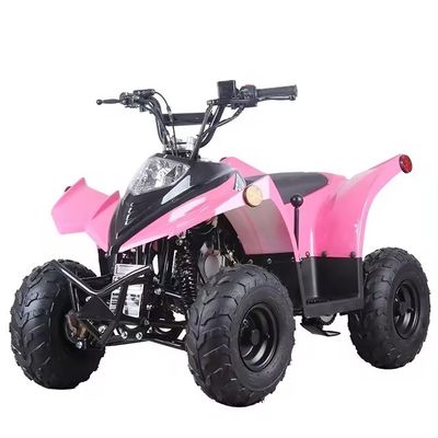 Compact Chain Transmission ATV 125cc 110CC 70CC with Low Fuel Consumption