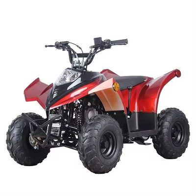 Compact Chain Transmission ATV 125cc 110CC 70CC with Low Fuel Consumption