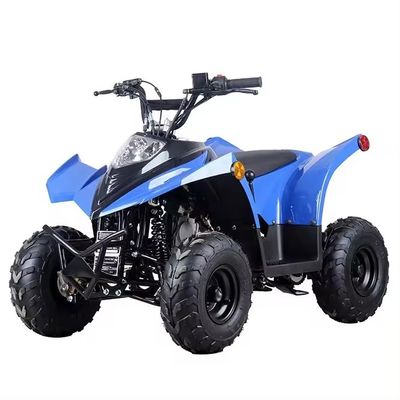 Compact Chain Transmission ATV 125cc 110CC 70CC with Low Fuel Consumption
