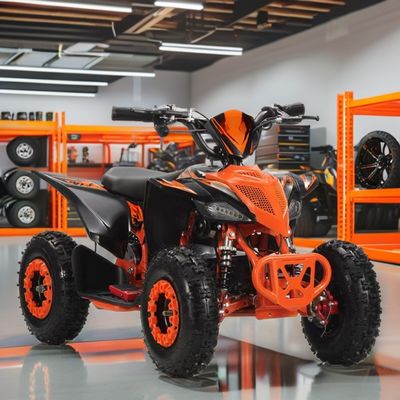 2WD Aotong Motor 800w1000W 36V Off Road Quad ATV Quad Bikes with Chain Transmission