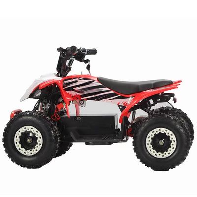 2WD Aotong Motor 800w1000W 36V Off Road Quad ATV Quad Bikes with Chain Transmission