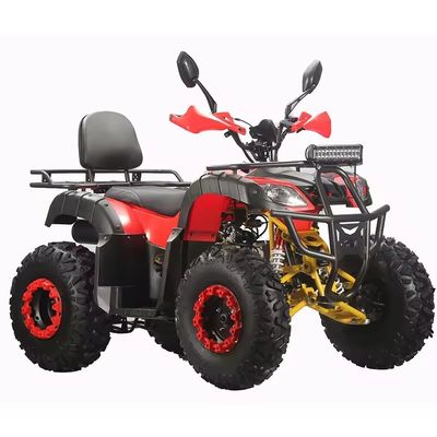 1790*1100*1100MM Size Farm ATV Gas Motorcycles Automatic Transmission Type for Adults