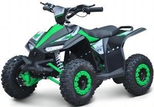 Maximum Torque of 40-60Nm 1000W Electric Side by Side ATV for Unbeatable Performance