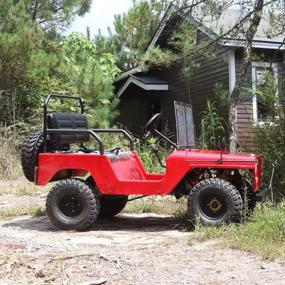 Electric 2 Seater Off Road Sand Buggy for Children Maximum Speed 50-75Km/h Voltage 48V
