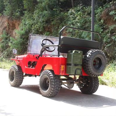 Electric 2 Seater Off Road Sand Buggy for Children Maximum Speed 50-75Km/h Voltage 48V