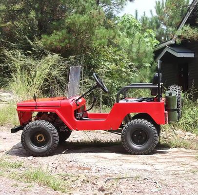 Electric 2 Seater Off Road Sand Buggy for Children Maximum Speed 50-75Km/h Voltage 48V