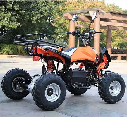 800w/1000w 48v/60v ATV Brushless Motor Electric 4 Wheel Quad Bike ATV for Smooth Ride