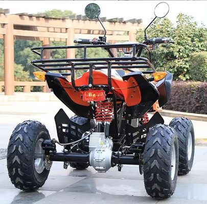 800w/1000w 48v/60v ATV Brushless Motor Electric 4 Wheel Quad Bike ATV for Smooth Ride