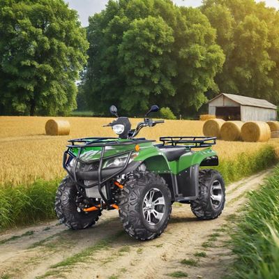 250cc Racing ATV with Automatic Transmission and 150-200mm Minimum Grand Clearance