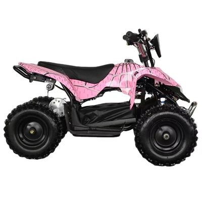 4.10-6/13X5.0-6 Tire Aotong Motor 800w/1000w Electric Power Sports Quad Bike for Kids