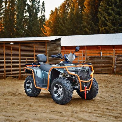 Customized Colors 2024 Farm Quads 300cc 4x4 Big Power Utility ATV with Grade Ability