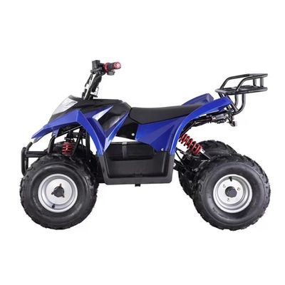 Maximum Torque ≤20Nm 750W Mini ATV for Kids in Red/Blue/Black/Green/Yellow Features