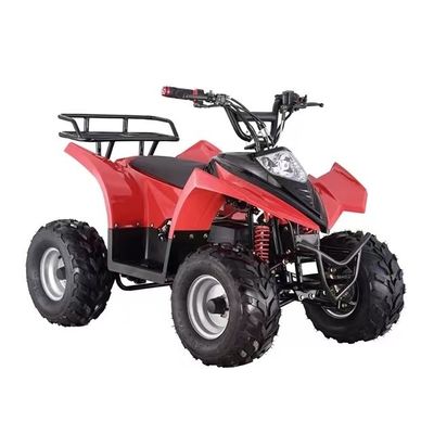 Affordable Mini Electric ATV Quad with Grade Ability of ≥25° and Differential Lock