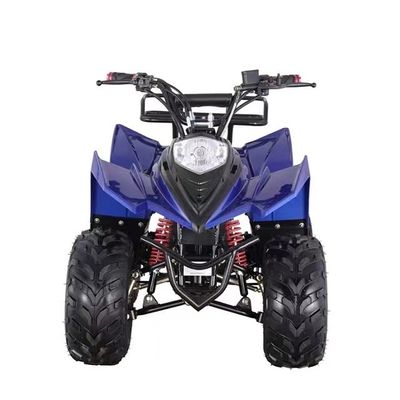 Affordable Mini Electric ATV Quad with Grade Ability of ≥25° and Differential Lock