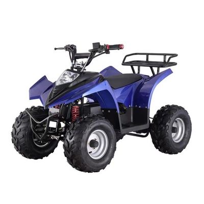 Affordable Mini Electric ATV Quad with Grade Ability of ≥25° and Differential Lock