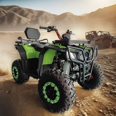 Affordable 250cc 4 Wheel ATV Motorcycle with Customizable Colors Supported