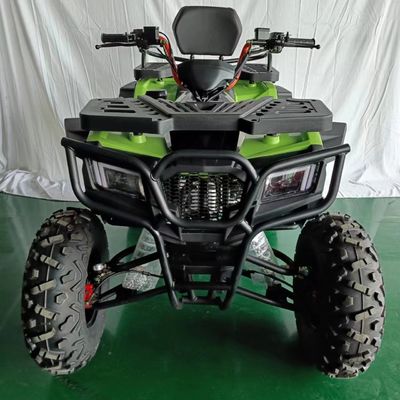 Affordable 250cc 4 Wheel ATV Motorcycle with Customizable Colors Supported