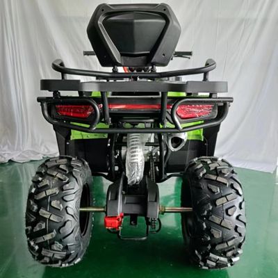 Affordable 250cc 4 Wheel ATV Motorcycle with Customizable Colors Supported