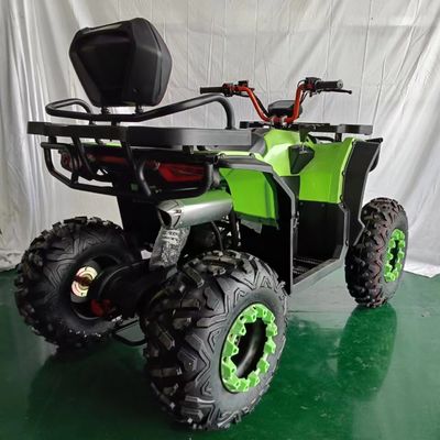 Affordable 250cc 4 Wheel ATV Motorcycle with Customizable Colors Supported