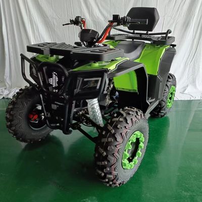 Affordable 250cc 4 Wheel ATV Motorcycle with Customizable Colors Supported