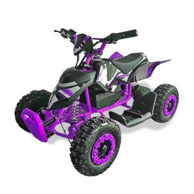 CHAIN DRIVE Transmission Mini Kids Electric 500w 800w ATVs And UTVs