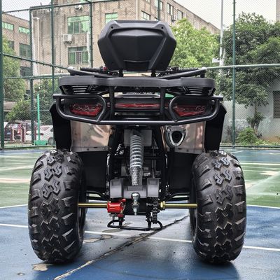 Unleash Your Inner Adventurer 250CC Automatic Chain Drive ATV for Off-road Riding