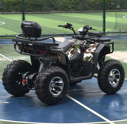 Unleash Your Inner Adventurer 250CC Automatic Chain Drive ATV for Off-road Riding
