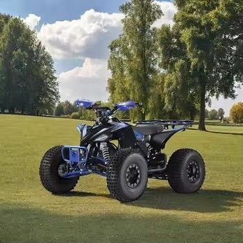 1500W Eco-Friendly ATV Four Wheeler Charge Time h 7-9h Perfect for Mountain and Beach