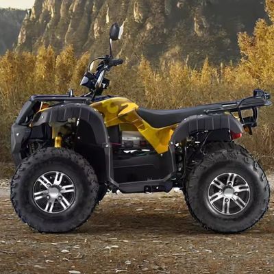 Adults 3000W Electric ATV Quad Gas Powered 2WD 4WD with Maximum Speed of 50-75Km/h