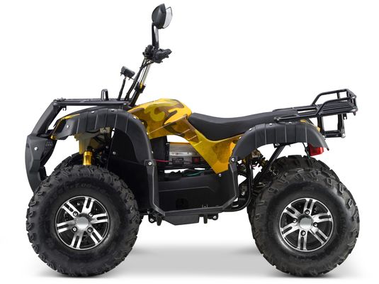 Switchable 2WD/4WD Driving Type 72V Electric Quad ATV Farm Utility Vehicle Buggy with 7-9h Charge Time