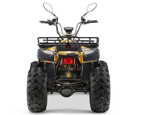 Switchable 2WD/4WD Driving Type 72V Electric Quad ATV Farm Utility Vehicle Buggy with 7-9h Charge Time