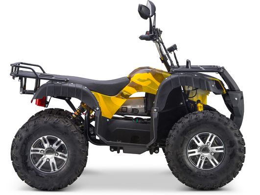Switchable 2WD/4WD Driving Type 72V Electric Quad ATV Farm Utility Vehicle Buggy with 7-9h Charge Time