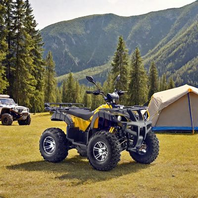 Versatile 60v 72V Electric Quad ATV Farm Utility Vehicle Buggy 1800-2200mm Wheelbase