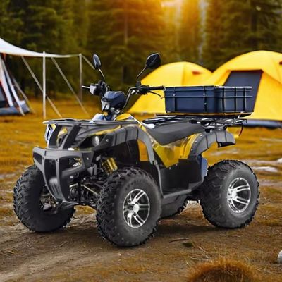 3000W 2wd/4wd ATV UTV Road Four-Wheel Off-Road Motorcycle with Switchable Driving Type