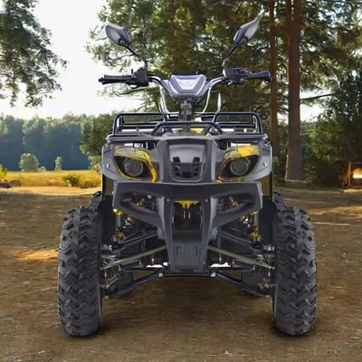 Powerful 3000W 1500W 4WD 4x4 Moto ATV UTV 1000cc Quad ATV with Wheelbase 1800-2200mm