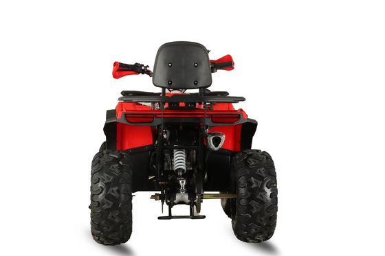 200cc Gasoline ATVs Quad Bikes Long Range 4 Wheel Motorcycle with Wheelbase 600-1000mm