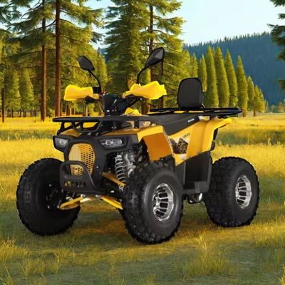 125cc Farm Quads ATV for Adults Powerful Gas / Diesel Engine and Chain Drive