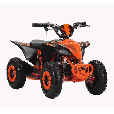 Brake System Front Disc Rear Disc 36v 48v 60v 1000w Electric Atv for Kids or Adults