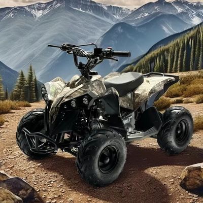 Gas Fuel 110CC ATV Powered by Chain Drive Transmission System