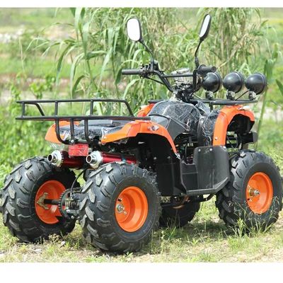 110cc 125cc ATV Affordable Automatic Chain Drive with Unequipped Differential Lock