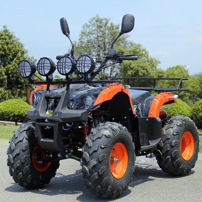 110cc 125cc ATV Affordable Automatic Chain Drive with Unequipped Differential Lock
