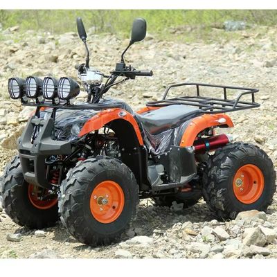 110cc 125cc ATV Affordable Automatic Chain Drive with Unequipped Differential Lock