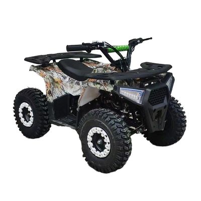 Powerful 125cc Gasoline Adult ATV Quad Bike with 12V Voltage and Curb Weight of 100-200kg